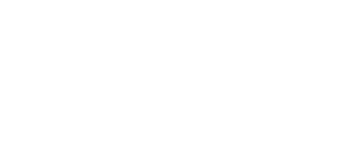 Qualifly Reels logo